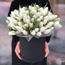 101 белый тюльпан в черном цилиндре