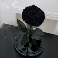 Черная роза в колбе